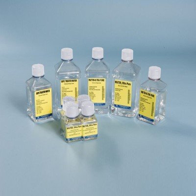 Molecular Biology Reagents