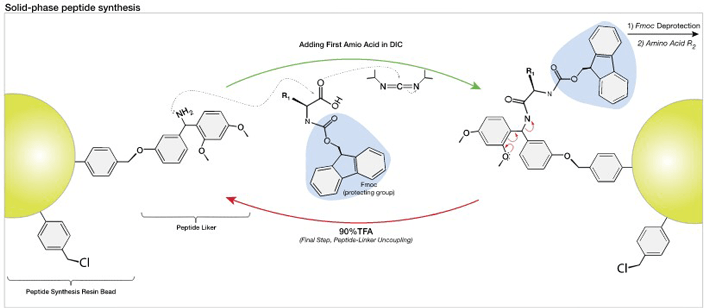 Solid Phase Synthesis Reagents