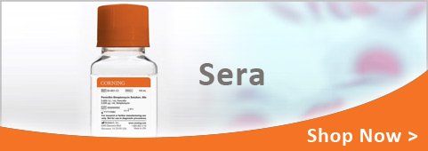 corning sera banner